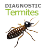 diagnostic termites